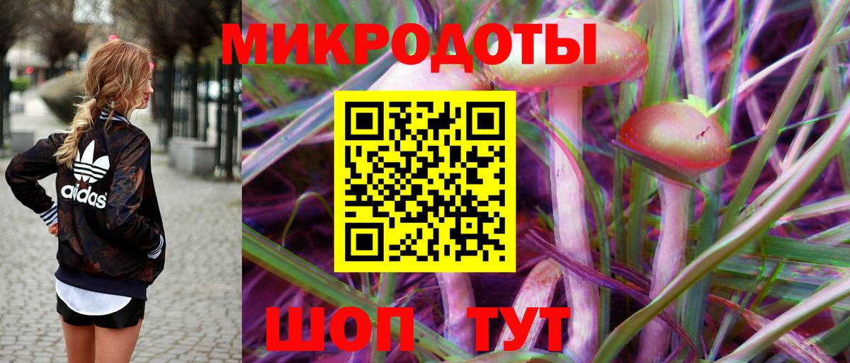 Нижний Новгород  Галлюциногенные грибы GOLDEN TEACHER  где купить   Вход с VPN 