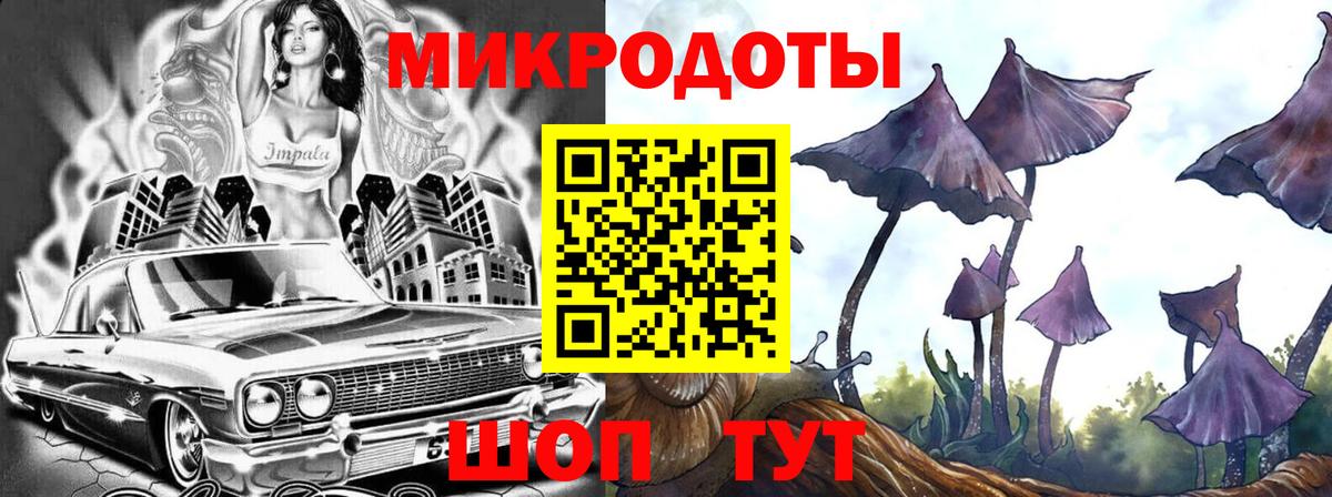 Галлюциногенные грибы Cubensis Нижний Новгород